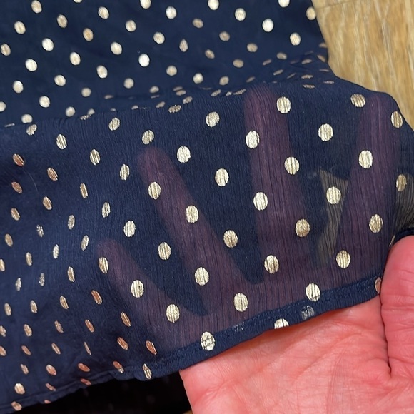 Aerie Navy & Gold Polka Dot Blouse Top Sheer Button Up Size XL EUC Collared - Picture 7 of 13